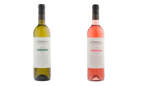 Tecnovino Fuenteseca blanco y rosado Bodega Sierra Norte