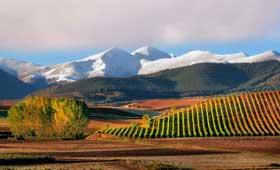 Tecnovino campana de promocion turistica de La Rioja