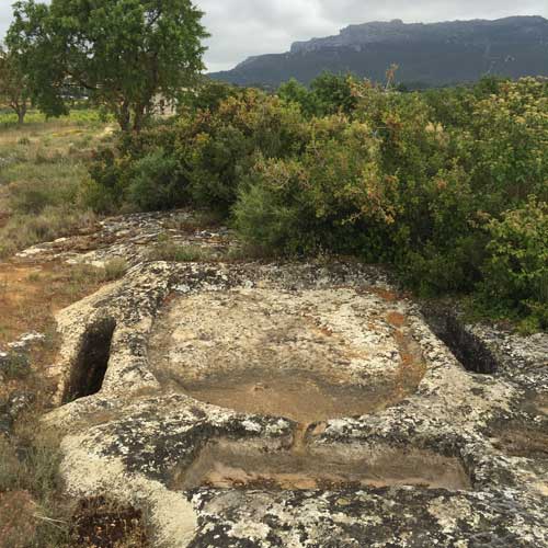 Tecnovino Ardo Koloreak Rioja Alavesa Abra 1