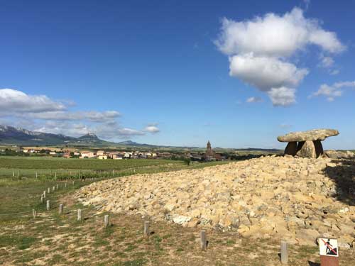 Tecnovino Ardo Koloreak Rioja Alavesa Abra 7