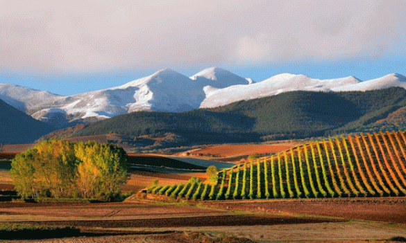 Un paisaje único que aspira a ser declarado Patrimonio de la Humanidad, Foto: Turismo de La Rioja