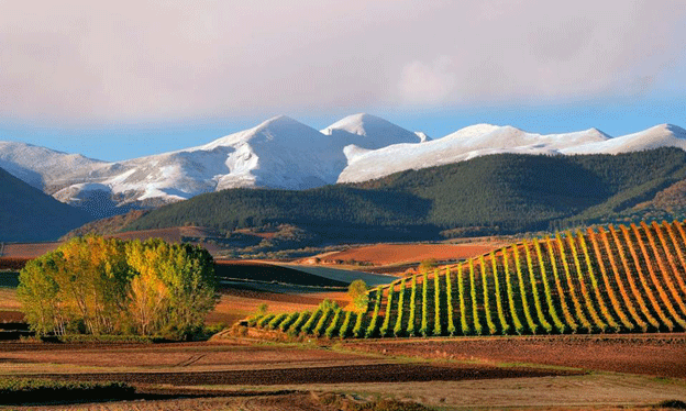 Un paisaje único que aspira a ser declarado Patrimonio de la Humanidad, Foto: Turismo de La Rioja