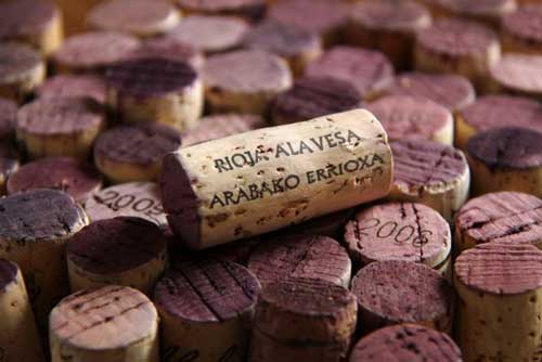 Tecnovino Rioja Alavesa Ardo Koloreak Basque Wine 4