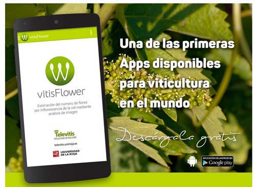 Tecnovino flores del vinedo app Televitis 2