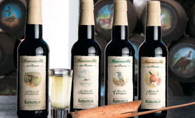 Tecnovino manzanilla solear Bodegas Barbadillo