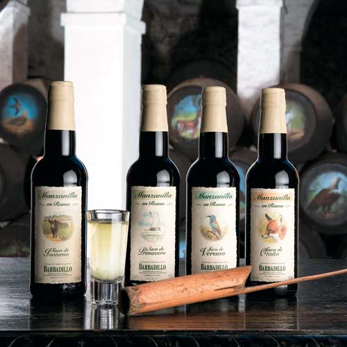 Tecnovino manzanilla solear Bodegas Barbadillo