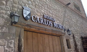 Tecnovino Bodega Carlos Moro Grupo Matarromera