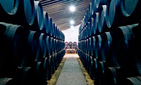 Tecnovino Bodegas Tradicion Premio Magrama