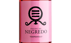 Tecnovino Pagos de Negredo Rosado 2014 vino