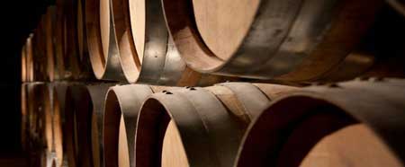 Tecnovino Rioja Alavesa vinos 1