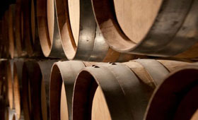 Tecnovino Rioja Alavesa vinos
