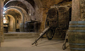 Tecnovino-bodegas-de-Aranda de Duero BIC