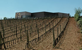 Tecnovino Altos de Rioja nueva bodega