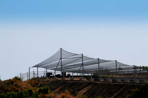 Tecnovino bodega de vinos naturales de Alta Alella 3