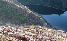 Tecnovino Concurso Internacional de los Vinos de Montana