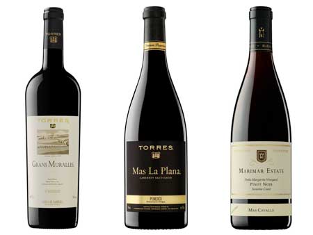 Tecnovino vinos de Torres hermanos Roca 1