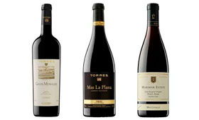 Tecnovino vinos de Torres hermanos Roca