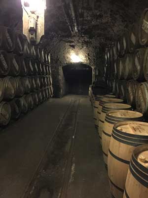 Tecnovino bodegas centenarias Cata Barrio Lopez Heredia 2