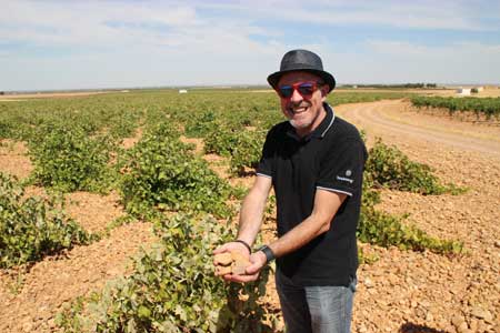 Tecnovino bodegas vendimia Verum