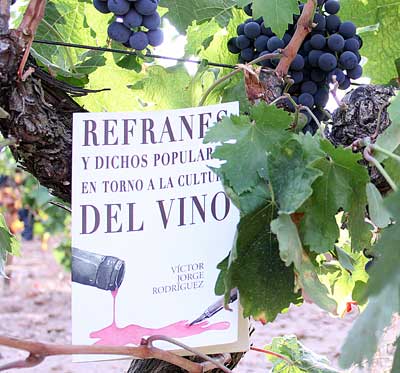 Tecnovino libro refranes cultura del vino 1