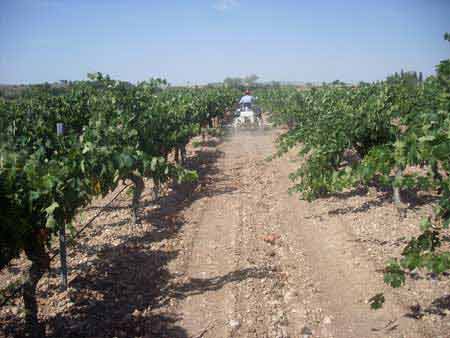 Tecnovino negocio de enoturismo emisiones gases Finca La Estacada