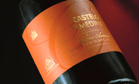 Tecnovino vino de Sauvignon Blanc Bodegas Castelo de Medina