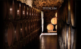 Tecnovino Bodegas Pittacum produccion 280x170