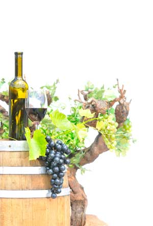 Tecnovino mineralidad vinos Excell Outlook Wine