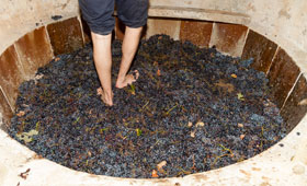 Tecnovino vino de tina Roqueta Origen 280x170