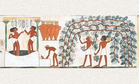 Tecnovino vino en el Antiguo Egipto Perelada