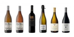 Tecnovino vinos exclusivos Alto Prestigio Codorniu Raventos 1