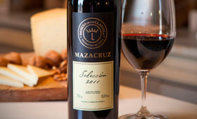 Tecnovino Mazacruz Seleccion 2011 vino tinto 280x170