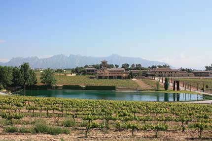 Tecnovino cavas de Castell dAge bodega