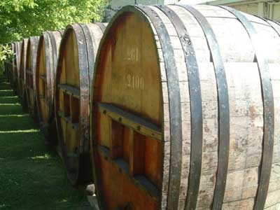 Tecnovino produccion de vino Magrama