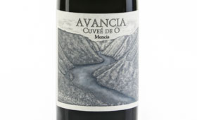 Tecnovino Avancia Cuvee de O Mencia Jorge Ordonez 280x170