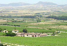 Tecnovino Marques de Vargas bodega