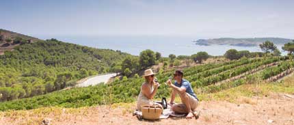 Tecnovino enoturista en Espana Acevin 1