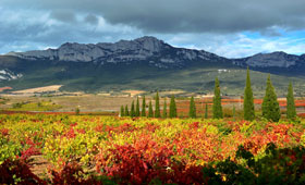 Tecnovino variedades de vid La Rioja Alta 280x170