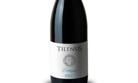 Tecnovino Tilenus Ecologico 2015 MGWines 280x170