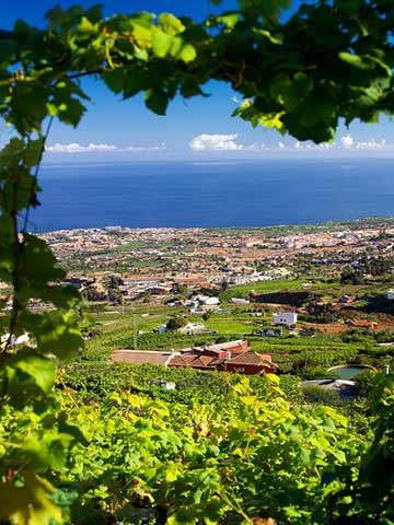 Tecnovino Premio Alimentos de Espana al Mejor Vino 2016 El Penitente