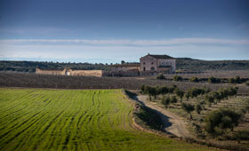 Tecnovino Bodegas Torres bodega Lleida 280x170