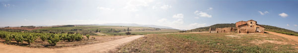 Tecnovino Natural Rioja Vintage Solarce 2013 panoramica