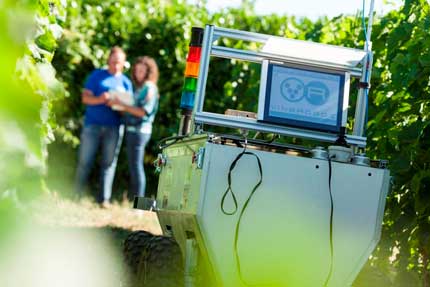 Tecnovino robot para el vinedo Vinerobot 1