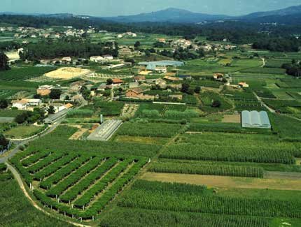 Tecnovino Ciudad Europea del Vino 2017 Cambados 2