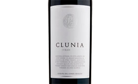 Tecnovino Clunia Syrah Bodegas Clunia 280