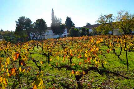 Tecnovino Premios de Enoturismo de Acevin Bodegas Robles