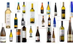 Tecnovino mejores vinos de albarino Albarinos al Mundo 2016 280