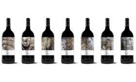 Tecnovino vinos en formato magnum Solar de Samaniego 280