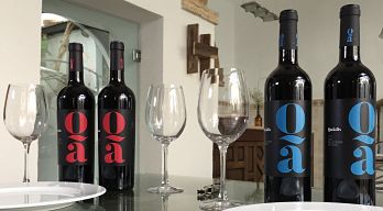 Quadis, los nuevos vinos de Bodegas Barbadillo