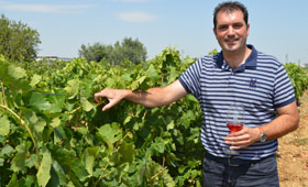 Tecnovino Consejos Reguladores Vitivinicolas CECRV David Palacios 280